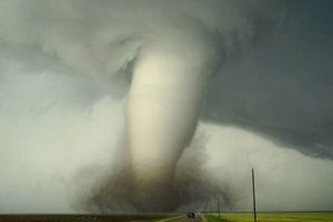 Devastating Twister Disasters: Survival Guide | Disaster Information Hub – Latest Natural Disaster News & Emergency Resources