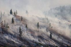 Preparing for Montana's Natural Disasters Disaster Information Hub – Latest Natural Disaster News & Emergency Resources Preparing for Montana's Natural Disasters | Disaster Information Hub – Latest Natural Disaster News & Emergency Resources