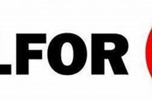 Belfor National Disaster Team Disaster Information Hub – Latest Natural Disaster News & Emergency Resources Belfor National Disaster Team | Disaster Information Hub – Latest Natural Disaster News & Emergency Resources