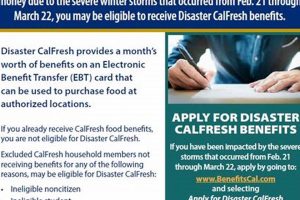 Get CalFresh Disaster Benefits Now Disaster Information Hub – Latest Natural Disaster News & Emergency Resources Get CalFresh Disaster Benefits Now | Disaster Information Hub – Latest Natural Disaster News & Emergency Resources