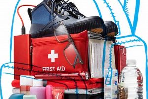 Ultimate Disaster Go Bag Checklist & Guide Disaster Information Hub – Latest Natural Disaster News & Emergency Resources Ultimate Disaster Go Bag Checklist & Guide | Disaster Information Hub – Latest Natural Disaster News & Emergency Resources