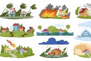 Averting Clipart Disasters: Design Tips Disaster Information Hub – Latest Natural Disaster News & Emergency Resources Averting Clipart Disasters: Design Tips | Disaster Information Hub – Latest Natural Disaster News & Emergency Resources
