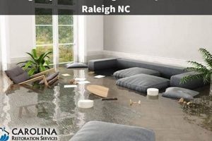Top Disaster Cleanup Services in Raleigh NC Disaster Information Hub – Latest Natural Disaster News & Emergency Resources Top Disaster Cleanup Services in Raleigh NC | Disaster Information Hub – Latest Natural Disaster News & Emergency Resources