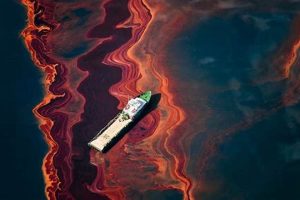 2010 BP Oil Spill: Gulf Coast Disaster Disaster Information Hub – Latest Natural Disaster News & Emergency Resources 2010 BP Oil Spill: Gulf Coast Disaster | Disaster Information Hub – Latest Natural Disaster News & Emergency Resources