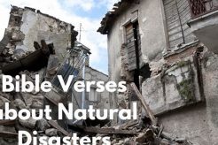Biblical Accounts of Natural Disasters & Their Impact Disaster Information Hub – Latest Natural Disaster News & Emergency Resources Biblical Accounts of Natural Disasters & Their Impact | Disaster Information Hub – Latest Natural Disaster News & Emergency Resources