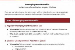 File for Disaster Unemployment Benefits Today Disaster Information Hub – Latest Natural Disaster News & Emergency Resources File for Disaster Unemployment Benefits Today | Disaster Information Hub – Latest Natural Disaster News & Emergency Resources