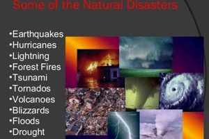 Devastating Natural Disasters Effects & Impacts Disaster Information Hub – Latest Natural Disaster News & Emergency Resources Devastating Natural Disasters Effects & Impacts | Disaster Information Hub – Latest Natural Disaster News & Emergency Resources