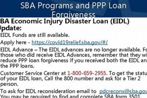 SBA Disaster Loan Forgiveness: Latest Updates & News Disaster Information Hub – Latest Natural Disaster News & Emergency Resources SBA Disaster Loan Forgiveness: Latest Updates & News | Disaster Information Hub – Latest Natural Disaster News & Emergency Resources
