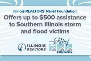 Illinois Disaster Relief: A Guide & Resources Disaster Information Hub – Latest Natural Disaster News & Emergency Resources Illinois Disaster Relief: A Guide & Resources | Disaster Information Hub – Latest Natural Disaster News & Emergency Resources