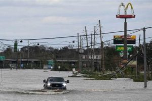 Louisiana Disaster Preparedness & Recovery Guide Disaster Information Hub – Latest Natural Disaster News & Emergency Resources Louisiana Disaster Preparedness & Recovery Guide | Disaster Information Hub – Latest Natural Disaster News & Emergency Resources