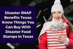 TX Disaster SNAP Benefits Guide 2024 Disaster Information Hub – Latest Natural Disaster News & Emergency Resources TX Disaster SNAP Benefits Guide 2024 | Disaster Information Hub – Latest Natural Disaster News & Emergency Resources
