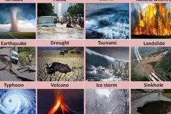 Beyond Natural Disasters: Cultivating Resilience Disaster Information Hub – Latest Natural Disaster News & Emergency Resources Beyond Natural Disasters: Cultivating Resilience | Disaster Information Hub – Latest Natural Disaster News & Emergency Resources