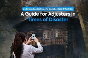 Certified Disaster Adjuster Services & Claims Disaster Information Hub – Latest Natural Disaster News & Emergency Resources Certified Disaster Adjuster Services & Claims | Disaster Information Hub – Latest Natural Disaster News & Emergency Resources
