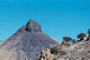 Surviving Disaster Peak: Preparedness & Response Disaster Information Hub – Latest Natural Disaster News & Emergency Resources Surviving Disaster Peak: Preparedness & Response | Disaster Information Hub – Latest Natural Disaster News & Emergency Resources
