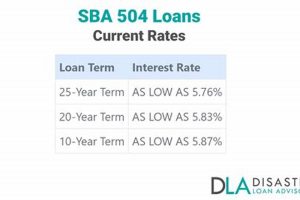 2024 SBA Disaster Loan Rates: Low-Interest Relief Disaster Information Hub – Latest Natural Disaster News & Emergency Resources 2024 SBA Disaster Loan Rates: Low-Interest Relief | Disaster Information Hub – Latest Natural Disaster News & Emergency Resources