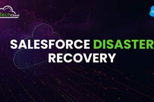 Ultimate Guide to Salesforce Disaster Recovery Planning Disaster Information Hub – Latest Natural Disaster News & Emergency Resources Ultimate Guide to Salesforce Disaster Recovery Planning | Disaster Information Hub – Latest Natural Disaster News & Emergency Resources