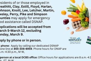 Find Disaster SNAP Phone Numbers Near You Disaster Information Hub – Latest Natural Disaster News & Emergency Resources Find Disaster SNAP Phone Numbers Near You | Disaster Information Hub – Latest Natural Disaster News & Emergency Resources