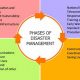 Disaster Response: Stages of Effective Management | Disaster Information Hub – Latest Natural Disaster News & Emergency Resources