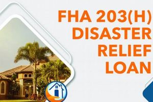 FHA Disaster Loan Options: Post-Disaster Relief Disaster Information Hub – Latest Natural Disaster News & Emergency Resources FHA Disaster Loan Options: Post-Disaster Relief | Disaster Information Hub – Latest Natural Disaster News & Emergency Resources