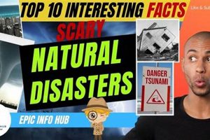 Top 10 Natural Disaster Facts: Shocking Truths Disaster Information Hub – Latest Natural Disaster News & Emergency Resources Top 10 Natural Disaster Facts: Shocking Truths | Disaster Information Hub – Latest Natural Disaster News & Emergency Resources