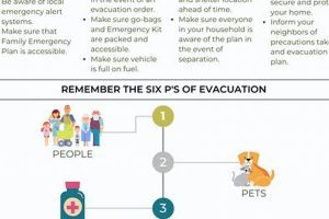 Your Ultimate Disaster Emergency Plan Guide Disaster Information Hub – Latest Natural Disaster News & Emergency Resources Your Ultimate Disaster Emergency Plan Guide | Disaster Information Hub – Latest Natural Disaster News & Emergency Resources