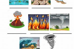 Free Printable Natural Disasters Worksheets & Activities Disaster Information Hub – Latest Natural Disaster News & Emergency Resources Free Printable Natural Disasters Worksheets & Activities | Disaster Information Hub – Latest Natural Disaster News & Emergency Resources