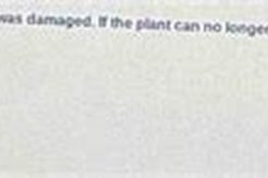 Plant Damage After Natural Disasters: A Guide Disaster Information Hub – Latest Natural Disaster News & Emergency Resources Plant Damage After Natural Disasters: A Guide | Disaster Information Hub – Latest Natural Disaster News & Emergency Resources