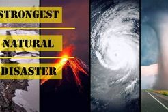 The Deadliest Natural Disasters Ever Recorded Disaster Information Hub – Latest Natural Disaster News & Emergency Resources The Deadliest Natural Disasters Ever Recorded | Disaster Information Hub – Latest Natural Disaster News & Emergency Resources
