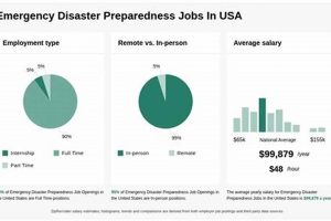 Top Disaster Preparedness Jobs & Careers Disaster Information Hub – Latest Natural Disaster News & Emergency Resources Top Disaster Preparedness Jobs & Careers | Disaster Information Hub – Latest Natural Disaster News & Emergency Resources