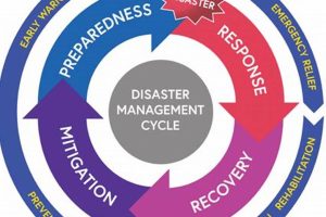 Understanding the Disaster Cycle: A Complete Guide Disaster Information Hub – Latest Natural Disaster News & Emergency Resources Understanding the Disaster Cycle: A Complete Guide | Disaster Information Hub – Latest Natural Disaster News & Emergency Resources