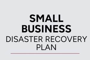 Free Small Business Disaster Recovery Plan Template & Guide Disaster Information Hub – Latest Natural Disaster News & Emergency Resources Free Small Business Disaster Recovery Plan Template & Guide | Disaster Information Hub – Latest Natural Disaster News & Emergency Resources
