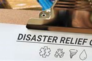 Claiming Disaster Relief Tax Credits: A Guide Disaster Information Hub – Latest Natural Disaster News & Emergency Resources Claiming Disaster Relief Tax Credits: A Guide | Disaster Information Hub – Latest Natural Disaster News & Emergency Resources
