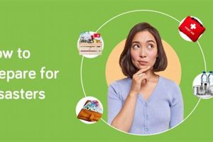 How Can We Prepare For A Natural Disaster Disaster Information Hub – Latest Natural Disaster News & Emergency Resources How Can We Prepare For A Natural Disaster | Disaster Information Hub – Latest Natural Disaster News & Emergency Resources