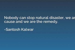Powerful Disaster Quotes: Words on Tragedy Disaster Information Hub – Latest Natural Disaster News & Emergency Resources Powerful Disaster Quotes: Words on Tragedy | Disaster Information Hub – Latest Natural Disaster News & Emergency Resources