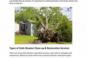 Fast Disaster Clean Up Utah Services Disaster Information Hub – Latest Natural Disaster News & Emergency Resources Fast Disaster Clean Up Utah Services | Disaster Information Hub – Latest Natural Disaster News & Emergency Resources