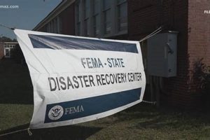 GA Disaster SNAP Benefits: Apply Now! Disaster Information Hub – Latest Natural Disaster News & Emergency Resources GA Disaster SNAP Benefits: Apply Now! | Disaster Information Hub – Latest Natural Disaster News & Emergency Resources