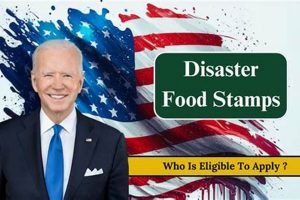 Get Disaster Relief SNAP Benefits Guide Disaster Information Hub – Latest Natural Disaster News & Emergency Resources Get Disaster Relief SNAP Benefits Guide | Disaster Information Hub – Latest Natural Disaster News & Emergency Resources