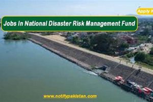 Top National Disaster Jobs: Find Your Role Disaster Information Hub – Latest Natural Disaster News & Emergency Resources Top National Disaster Jobs: Find Your Role | Disaster Information Hub – Latest Natural Disaster News & Emergency Resources