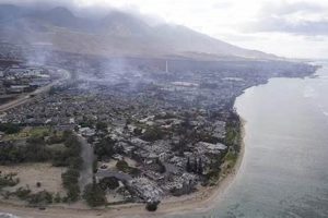 Maui Wildfires: Hawaii Disaster 2023 Relief & Recovery Disaster Information Hub – Latest Natural Disaster News & Emergency Resources Maui Wildfires: Hawaii Disaster 2023 Relief & Recovery | Disaster Information Hub – Latest Natural Disaster News & Emergency Resources