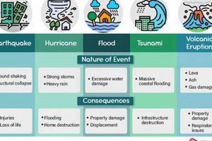 Understanding the True Causes of Natural Disasters | Disaster Information Hub – Latest Natural Disaster News & Emergency Resources
