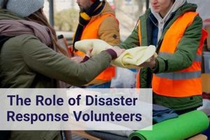CERT Volunteer Disaster Prep: A Guide | Disaster Information Hub – Latest Natural Disaster News & Emergency Resources