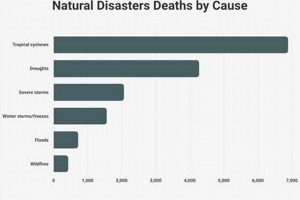 Reducing Natural Disaster Deaths: Crucial Steps | Disaster Information Hub – Latest Natural Disaster News & Emergency Resources