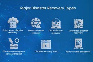 7 Types of Disaster Recovery: The Ultimate Guide | Disaster Information Hub – Latest Natural Disaster News & Emergency Resources