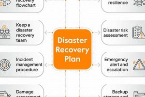 Disaster Recovery: Why Detection Matters | Disaster Information Hub – Latest Natural Disaster News & Emergency Resources
