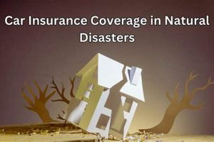 Car Insurance & Natural Disasters: Does it Cover? | Disaster Information Hub – Latest Natural Disaster News & Emergency Resources