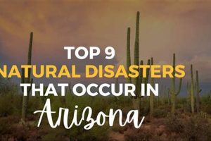 Arizona Natural Disasters: Prep & Survival Guide | Disaster Information Hub – Latest Natural Disaster News & Emergency Resources