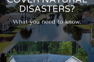 Home Insurance & Natural Disasters: Does it Cover? | Disaster Information Hub – Latest Natural Disaster News & Emergency Resources