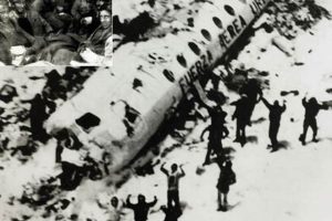 Andes Flight Disaster: 72 Days of Survival Disaster Information Hub – Latest Natural Disaster News & Emergency Resources Andes Flight Disaster: 72 Days of Survival | Disaster Information Hub – Latest Natural Disaster News & Emergency Resources