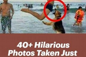 Surviving the Seconds Before Disaster Strikes | Disaster Information Hub – Latest Natural Disaster News & Emergency Resources