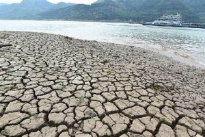 Averting Disaster: Triumph & Success Disaster Information Hub – Latest Natural Disaster News & Emergency Resources Averting Disaster: Triumph & Success | Disaster Information Hub – Latest Natural Disaster News & Emergency Resources